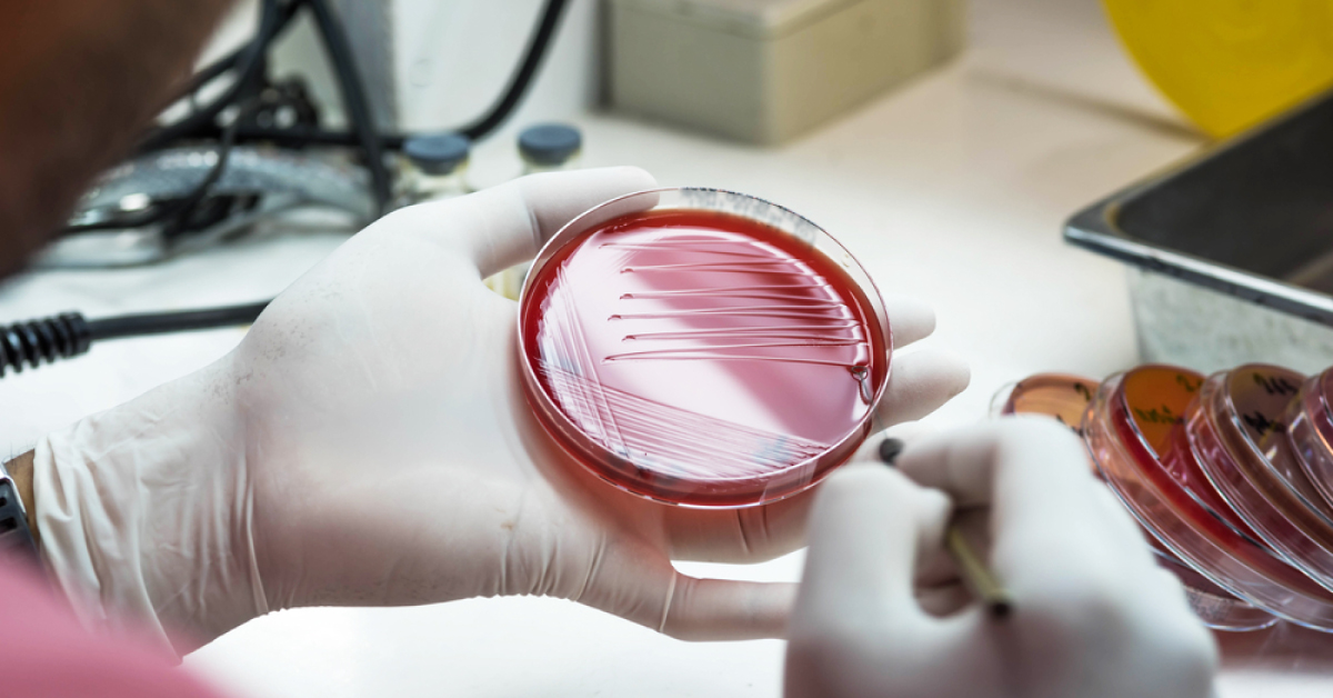 Genetic Detection Of Viral Or Bacterial Infection To Prevent Growth Of Antibiotic Resistant Bacteria