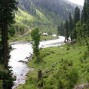 Samina Farhat