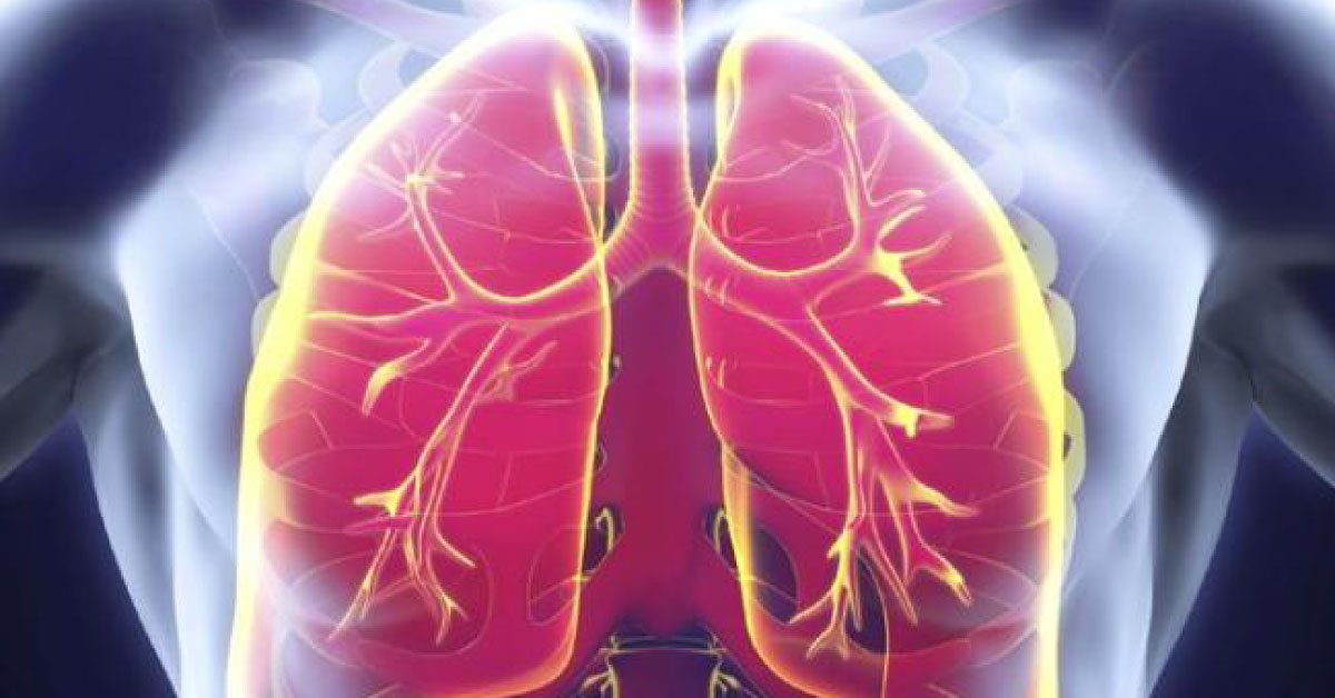 New Novel Mechanism May Help Treat Tuberculosis