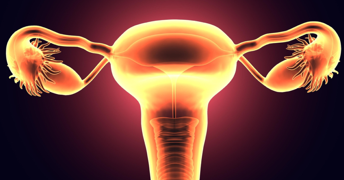 Hysterosalpingogram Or HSG - New Information