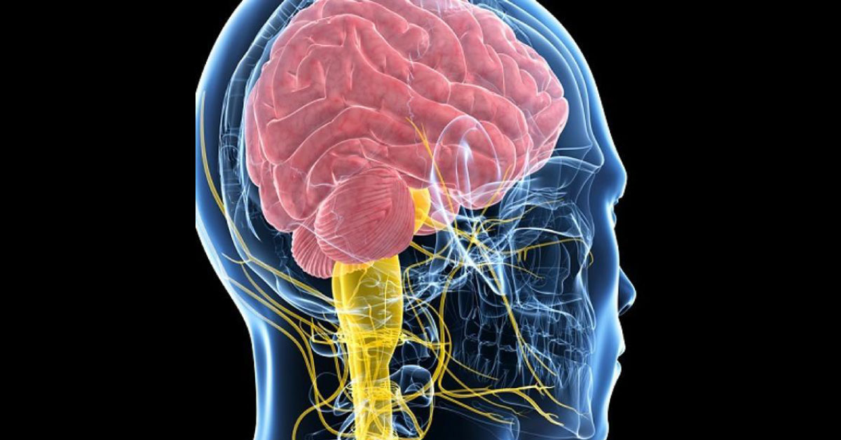 Brain Training Game App May Improve Memory