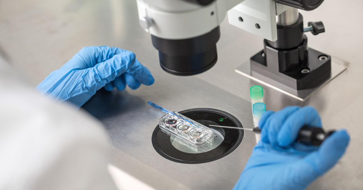 IVF And Doctors Skills - How To Decide?