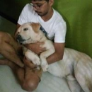 Archan Devidas Naik