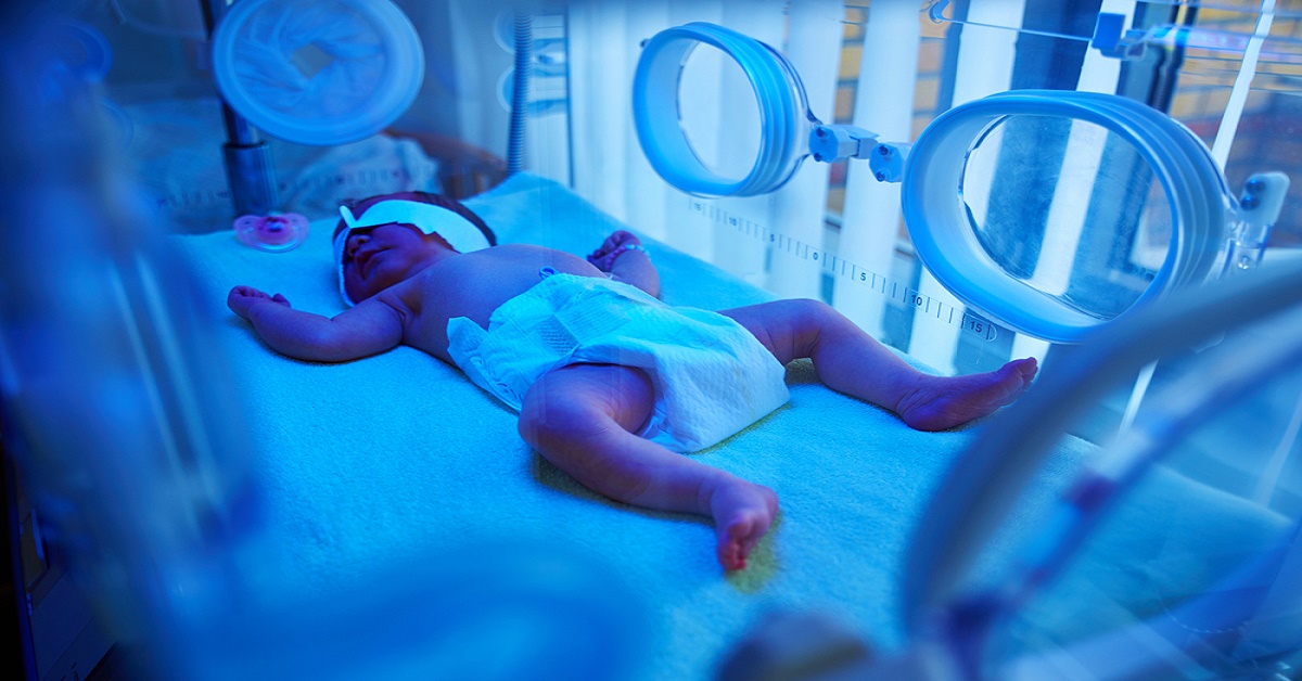 Hematopoiesis In The Fetus