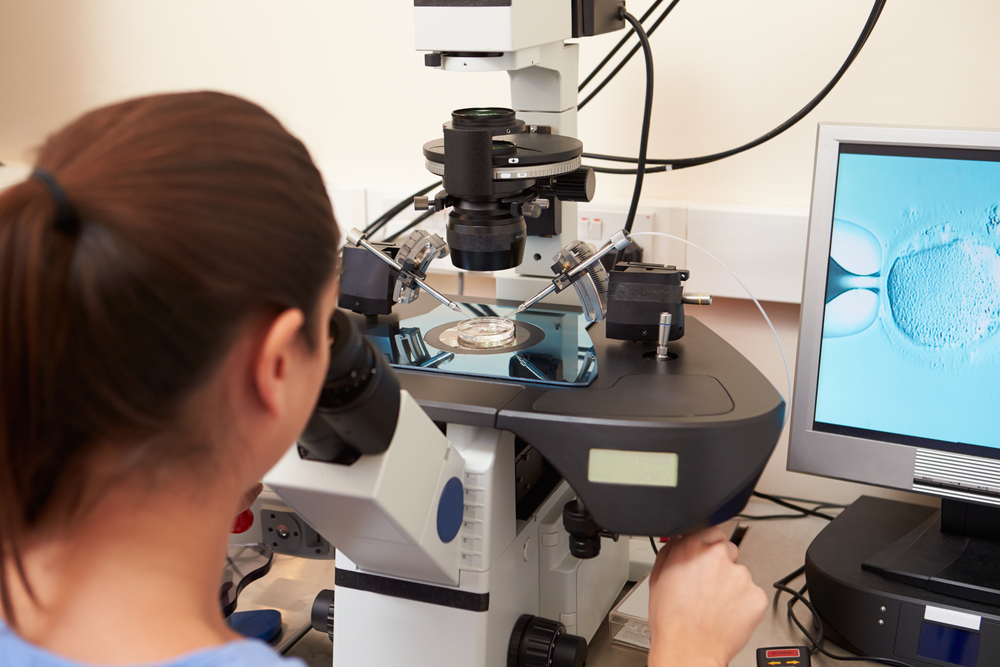 Patient Friendly IVF