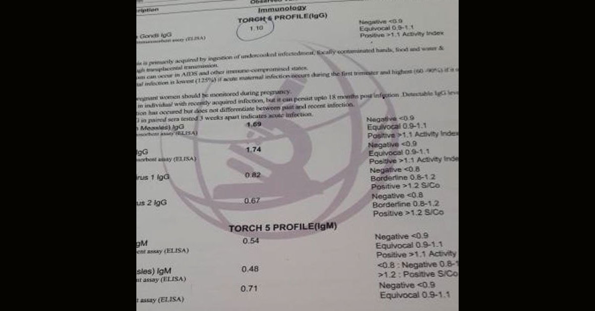 Analyze The Reports
