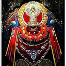 Surender Bhardwaj