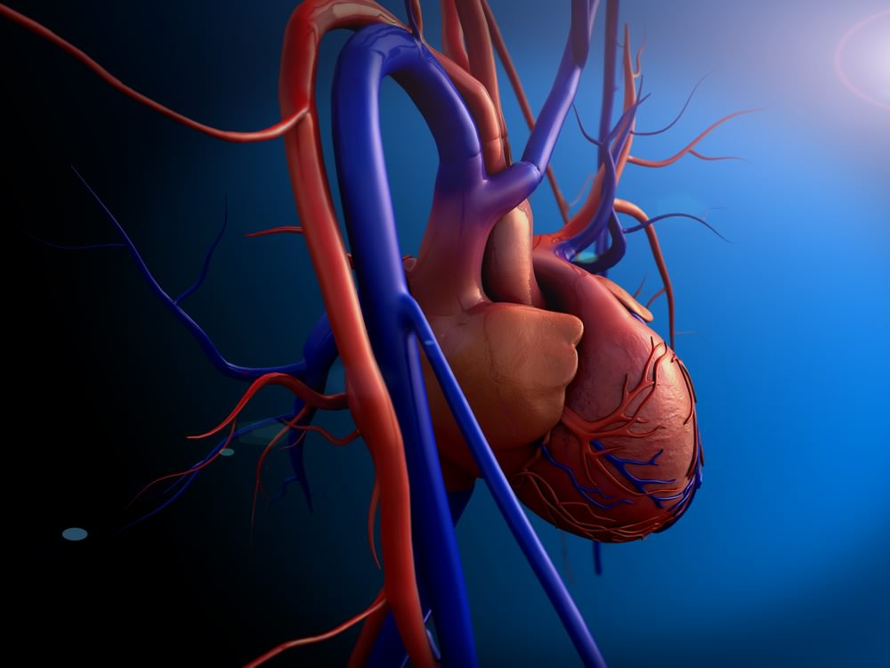 Dr.S.Shanmugam’s Syndrome of CADY