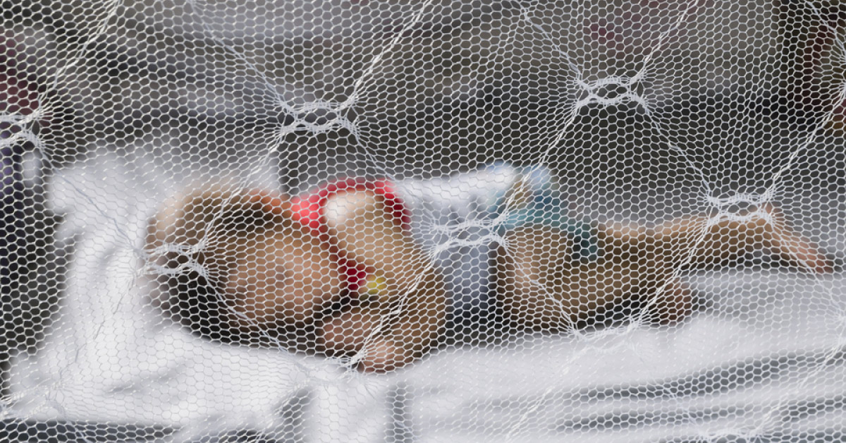 Will India Control Dengue Epidemic As Sri Lanka Did With Arm Force