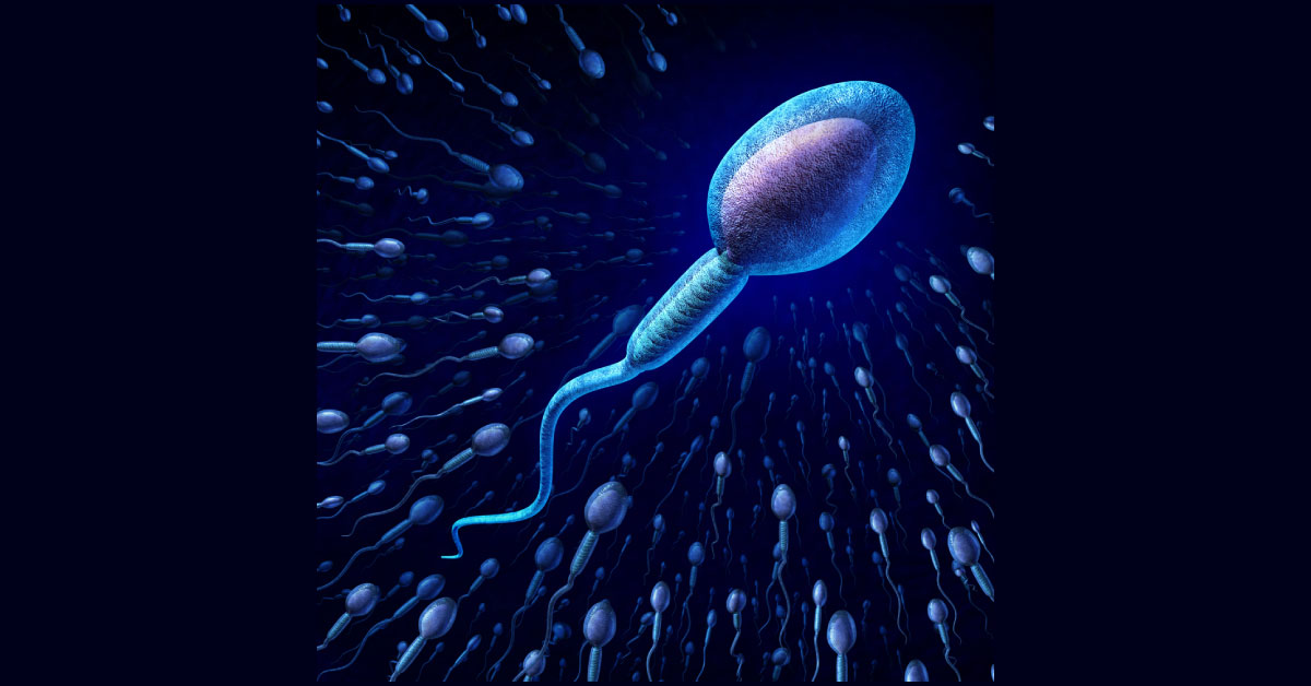 Sperm Count, A Concern Of Growing Infertility In Western Men