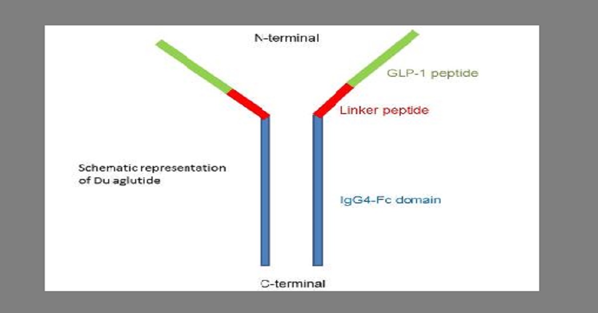 Dulaglutide: Once-a-week GLP-1 Receptor Agonist For Type 2 Diabetes Mellitus