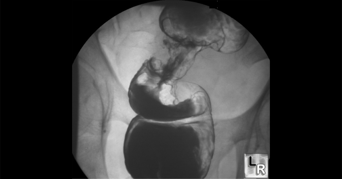 Diagnose The Image Based Case