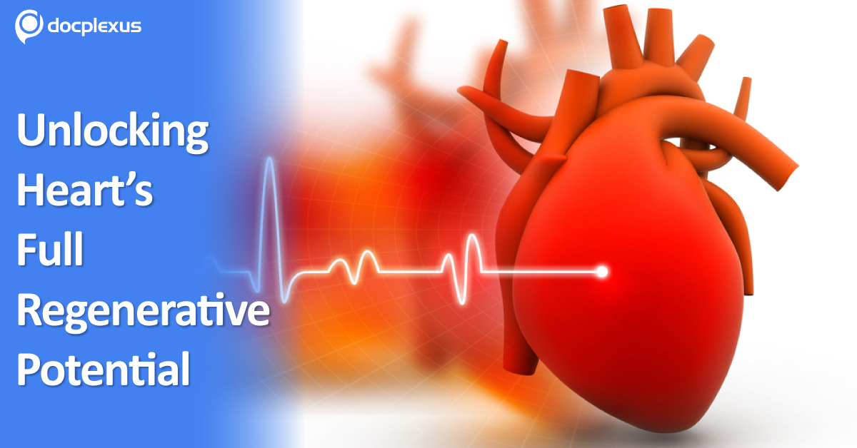 Self-Healing Heart Cells May Repair Damaged Hearts