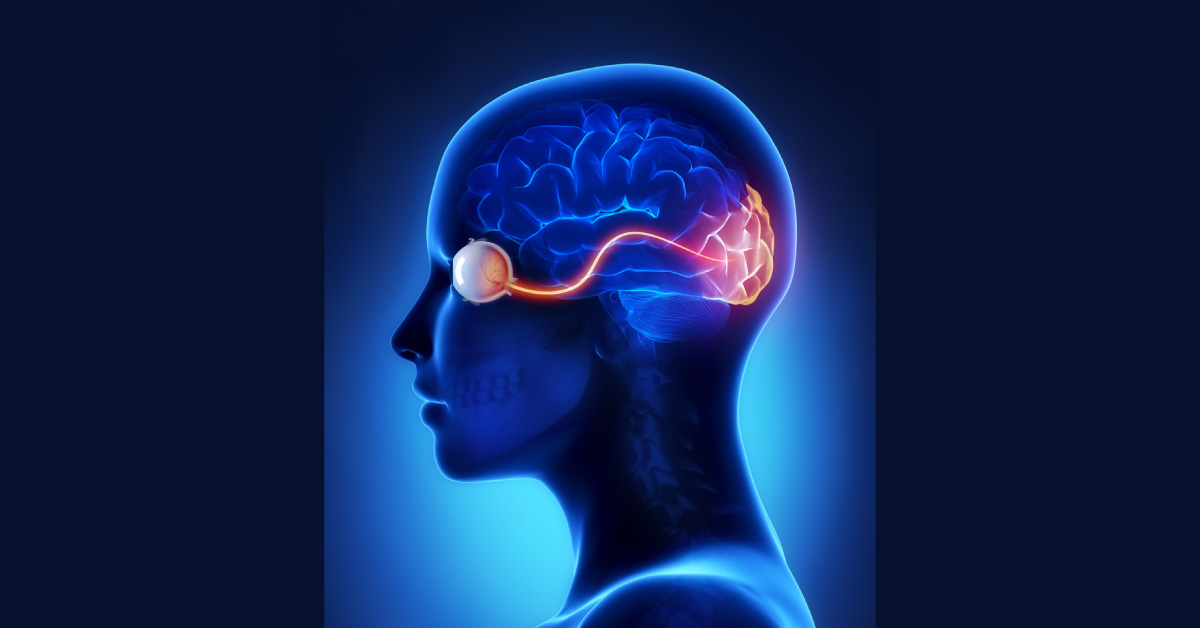 Neuromyelitis Optica: A Potential Key To The Mechanism Of NMO And A Therapeutic Target