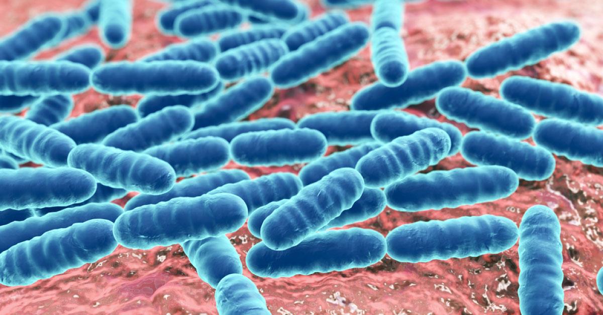 Could Probiotics Replace Antibiotics In Wound-Healing?
