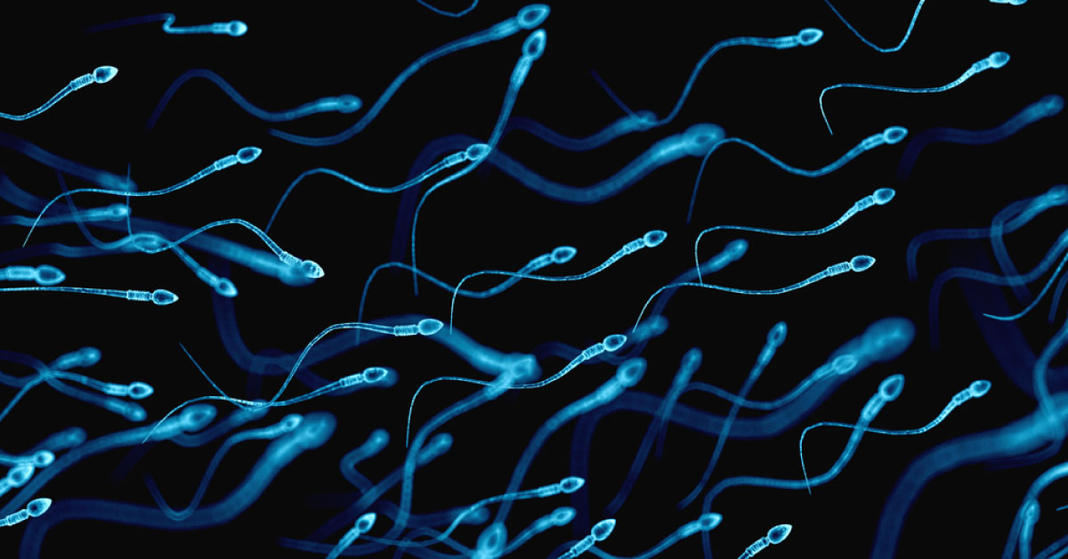 Infertility And Donor Sperm Misuse