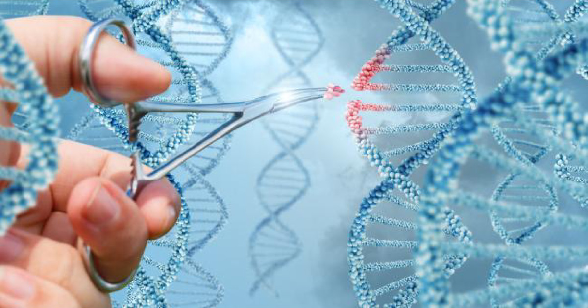 New Gene Therapy Via Skin Can Help Treat Diabetes, Obesity