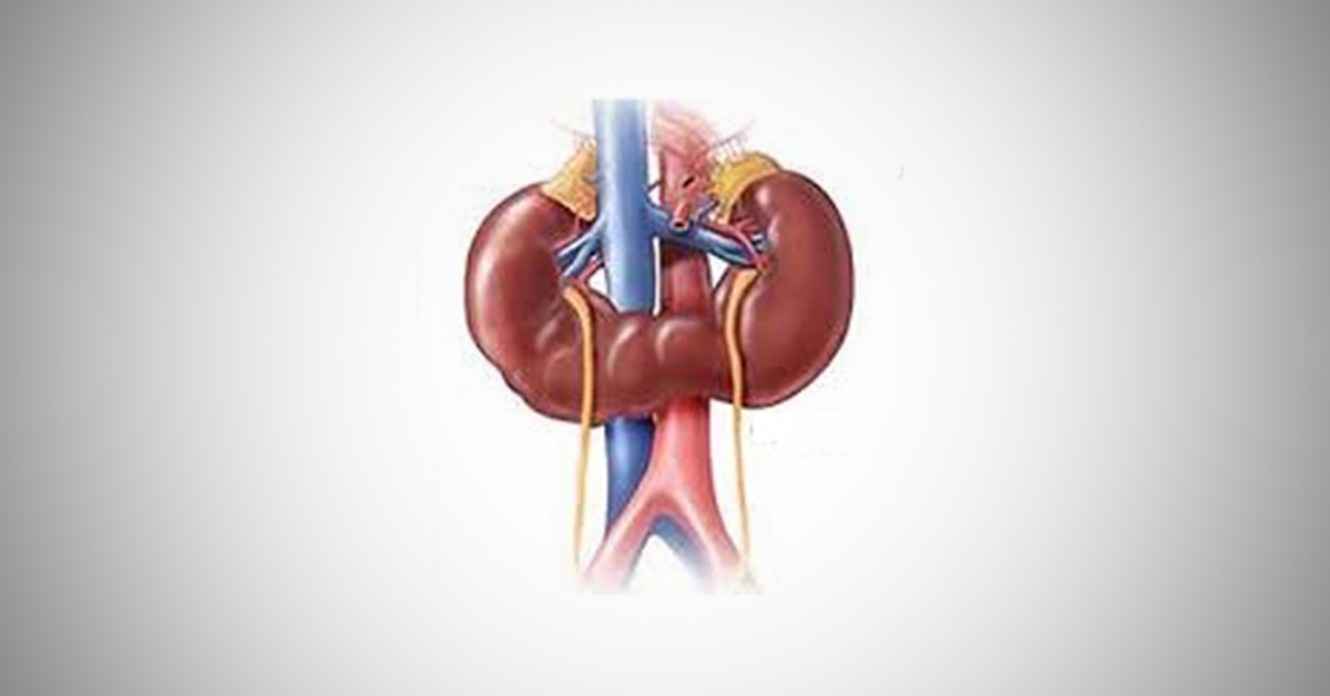 Prenatal Diagnosis Of Congenital Renal Abnormalities