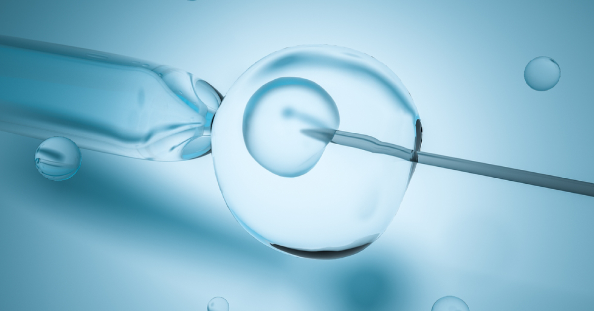 IVF Associated Perinatal Risks