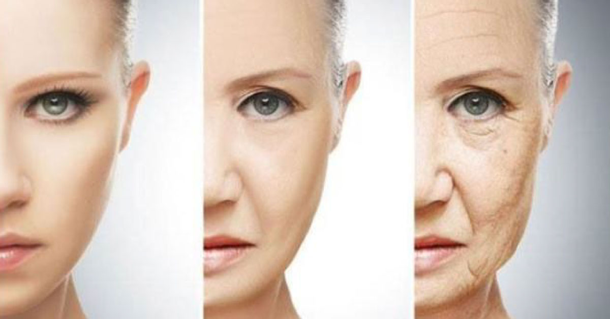 New Technology Can Reverse Ageing In Human Cells Leading A Treatment For Progeria