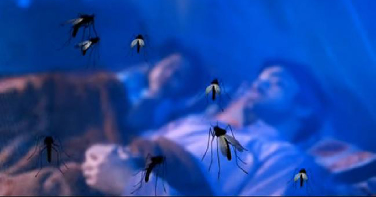 ABC Of Japanese Encephalitis Which Shocks All India From Gorakhpur
