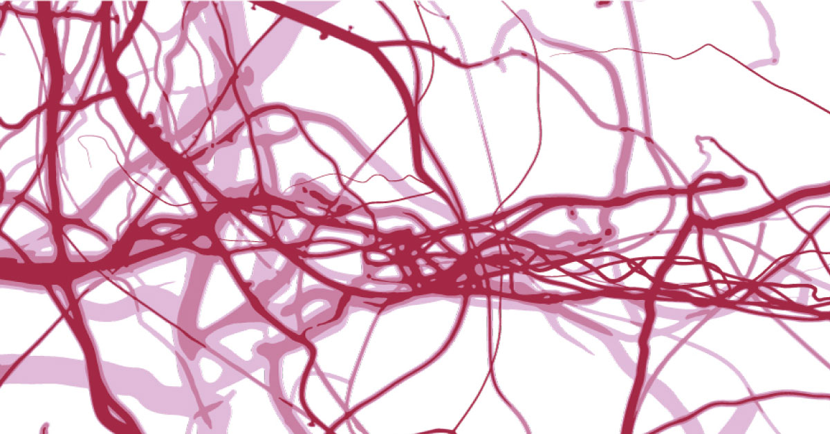 Artificial Blood Vessels Mimic For Screening Potential Therapeutics