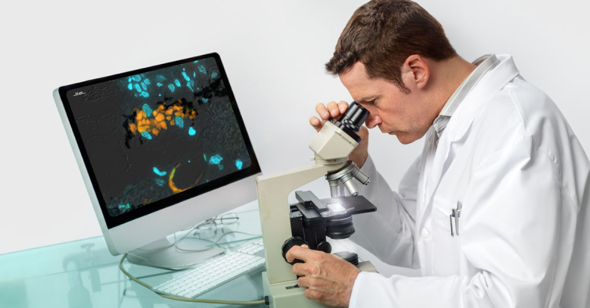 Immunofluorescence In Dermatology