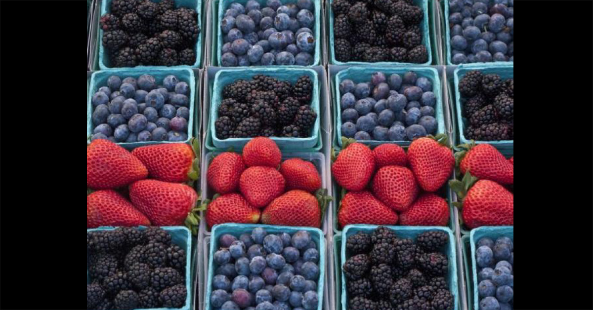 Anti Inflammatory Diet