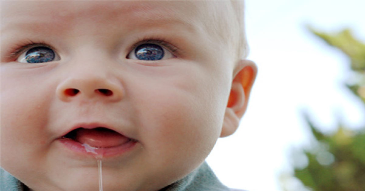 Saliva May Promote Wound Healing Due To Its Enzyme
