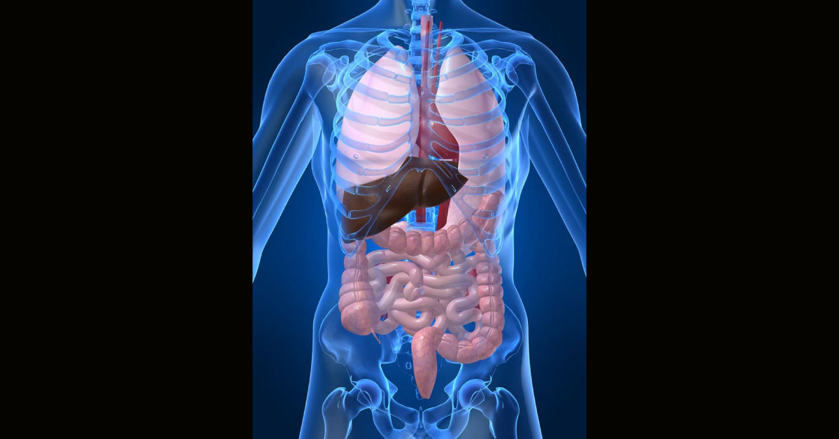 Why To Donate Organs?