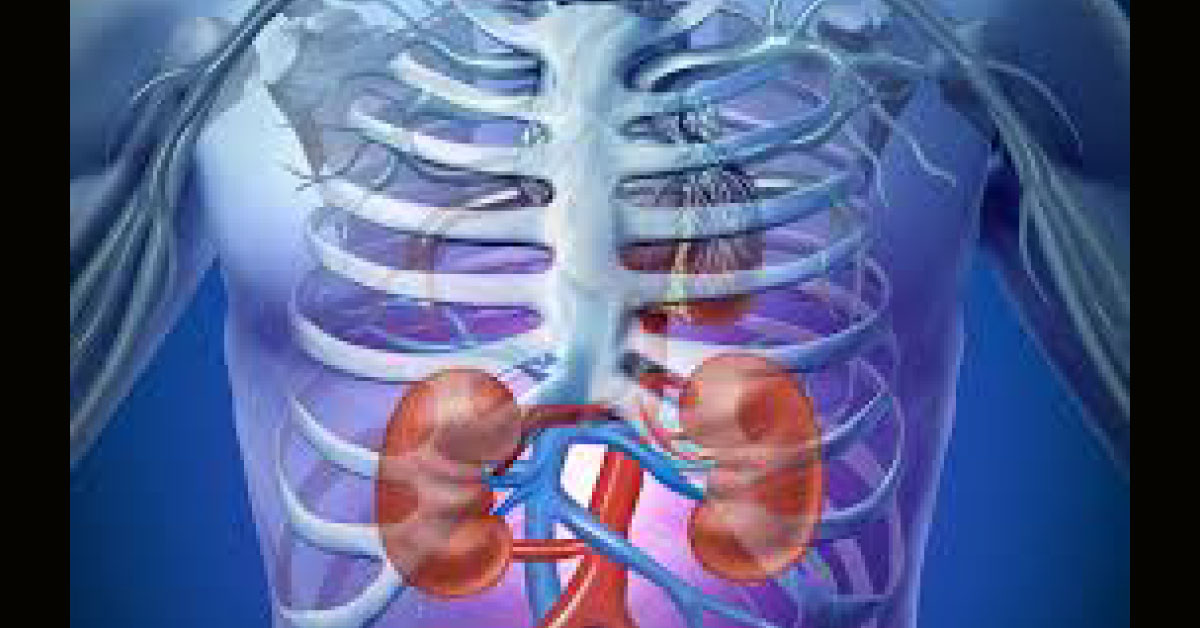 Syndrome Of Contracted Kidney