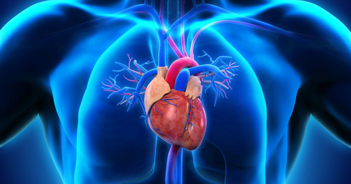 Superior Vena Cava Syndrome, Clinical Findings And Management