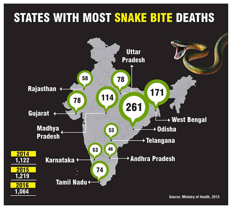 States With The Most Snake Bites Deaths In India