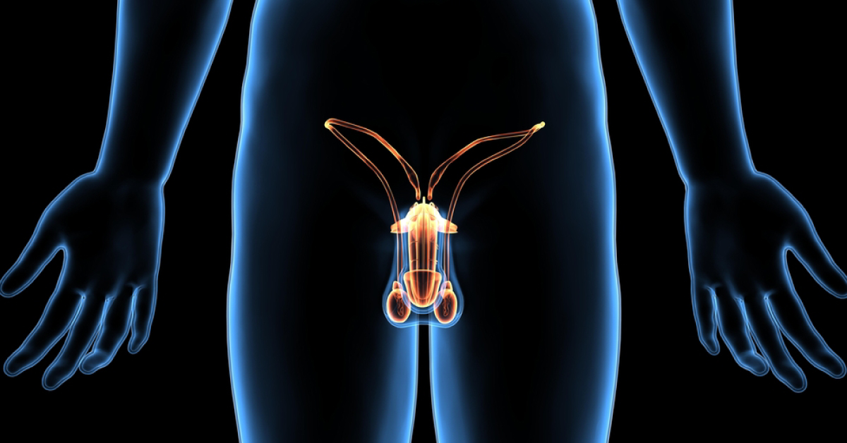 Vasectomy: European Association Of Urology