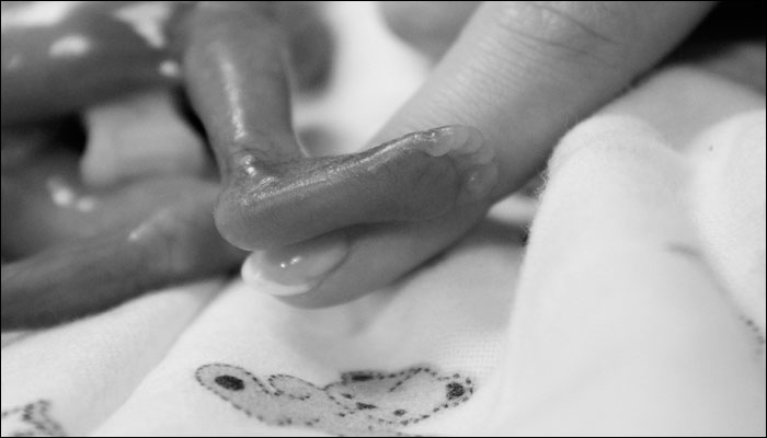 Dietary Supplement Preventing Miscarriage And Birth Defects
