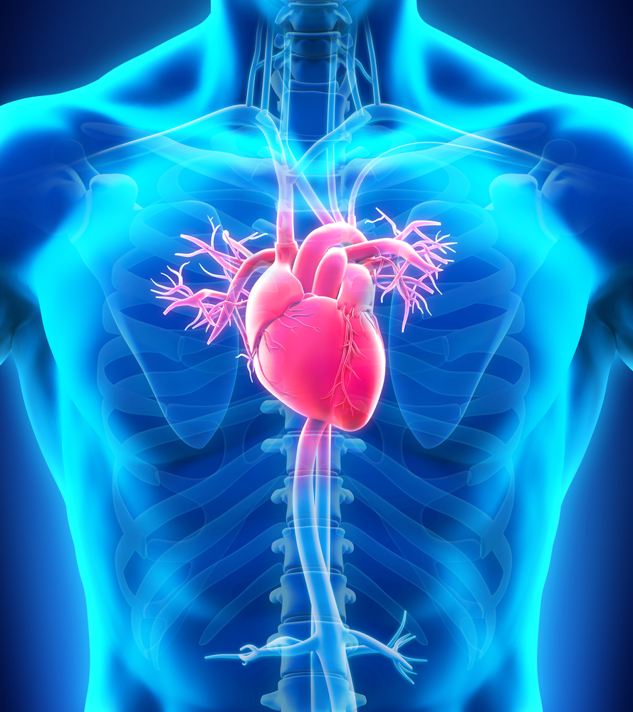 Left Heart Failure - A New Classification Model