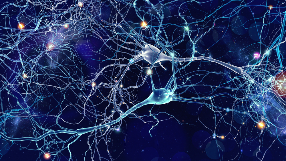 Glia, New Source For Brain's Development, Not Neurons