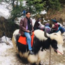 Ashish Kumar Sinha