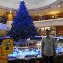 Kandasamy Nnatarajan