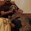 S.M Sharath Chandra