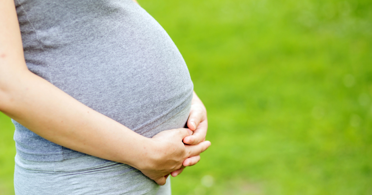 Single Parent Surrogacy, Existing Legal Regulations