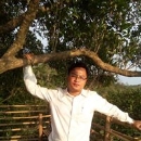 Ronert R. Marak