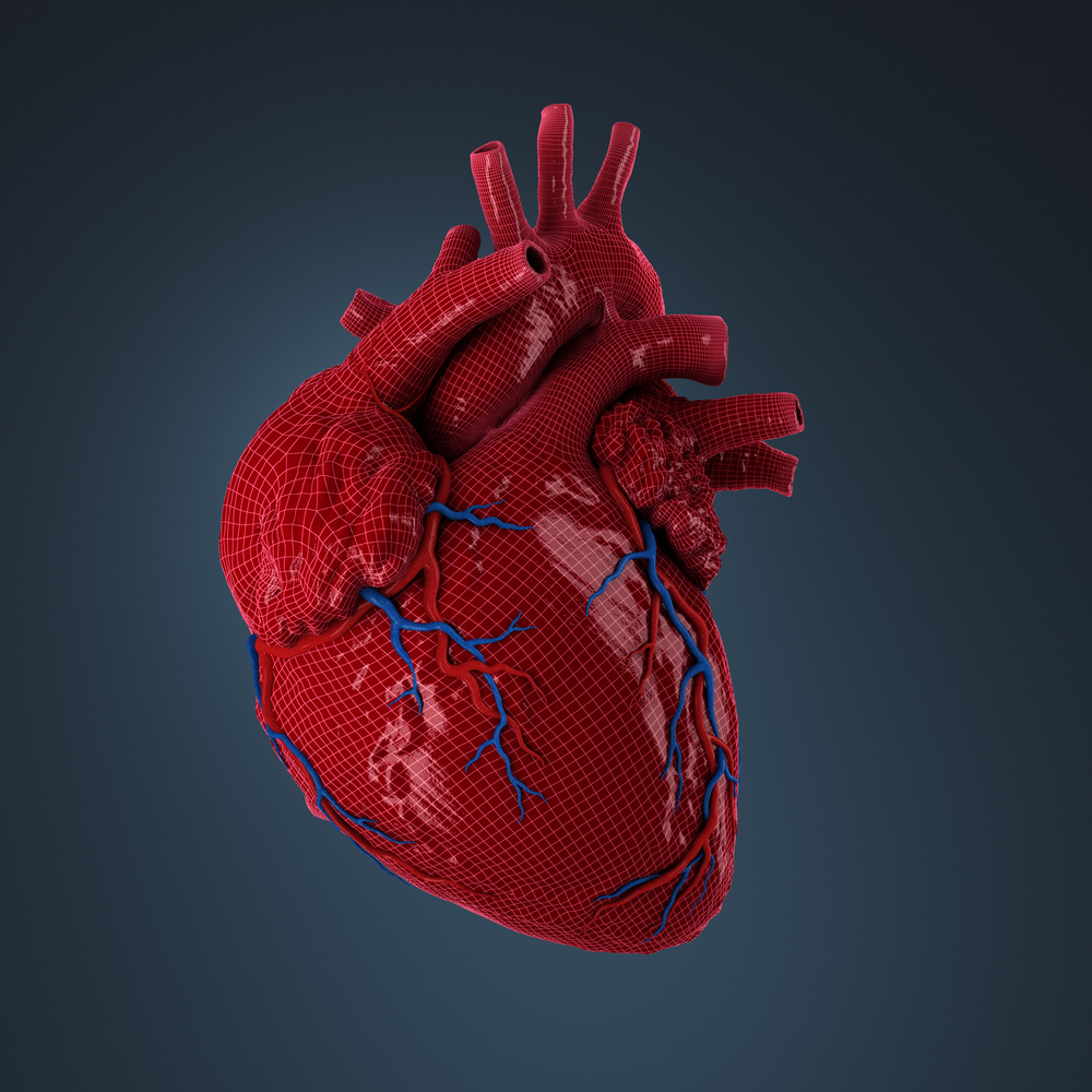 CPR For Intra Operative Cardiac Arrest Under General Anaesthesia Is Less Successful Than Under Regional Anaesthesia