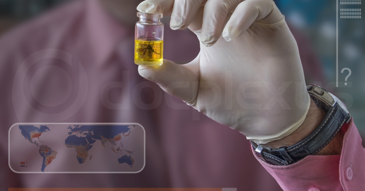 Antibody That Protects Against Zika, Dengue Identified