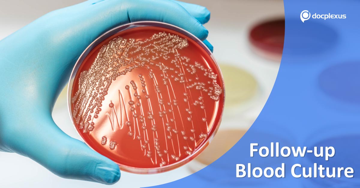 Should Follow-Up Blood Culture Be Ordered For Gram Negative Bacteremia?
