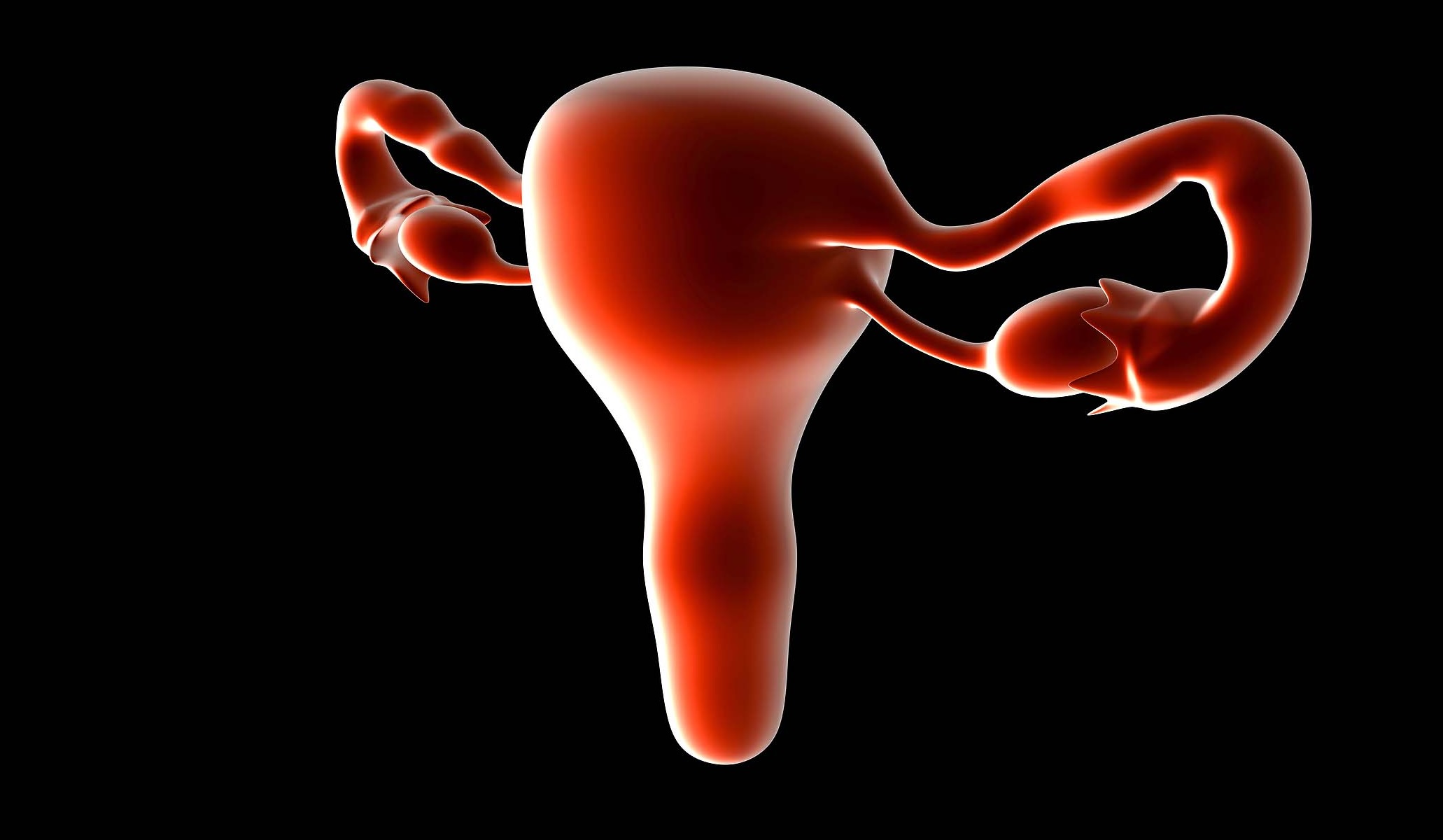 Solve This Gynecological Case