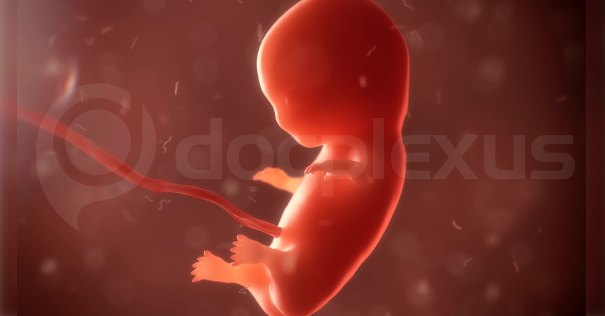 Four Days For Human Heart To Form In A Womb, Finds Study