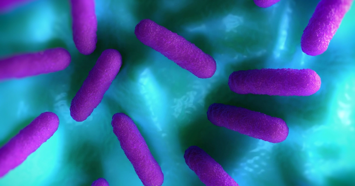 Cholesterol Lowering Drugs To Prevent Infections?