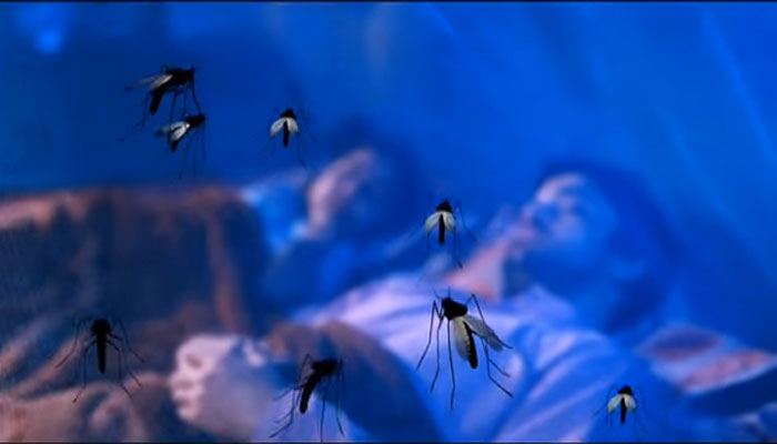 Danger Malaria "Super Malaria" Emerged In Cambodia-a Global Threat Hard To Treat