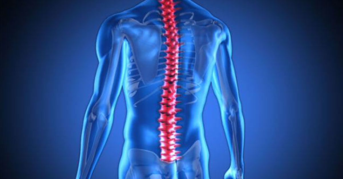 Spinal Cord Can Now Be Repaired With Silk